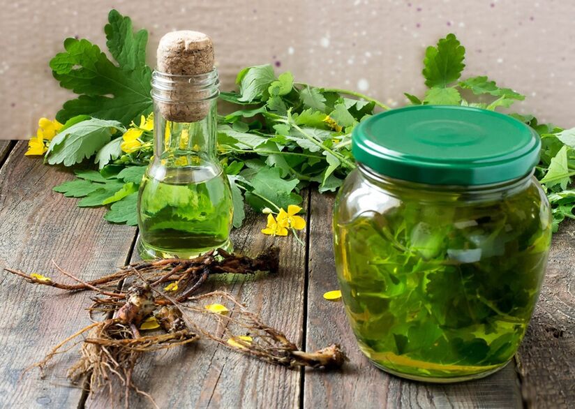 tintura di celidonia per la prostatite